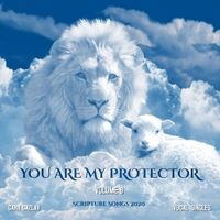 You Are My Protector, Vol. 8
